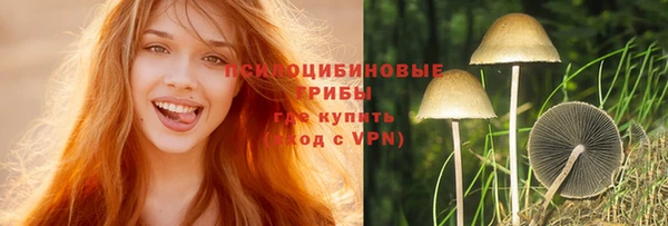синтетический гашиш Богородицк