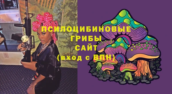 синтетический гашиш Богородицк