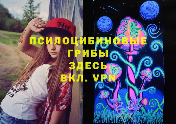синтетический гашиш Богородицк