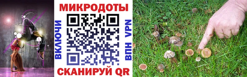 Галлюциногенные грибы GOLDEN TEACHER  Сусуман 